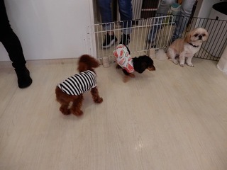 DSCN2472.jpg