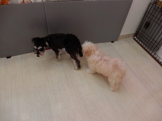 DSCN2507.jpg