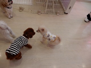 DSCN2511.jpg