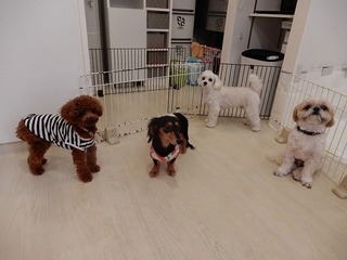 DSCN2570.jpg