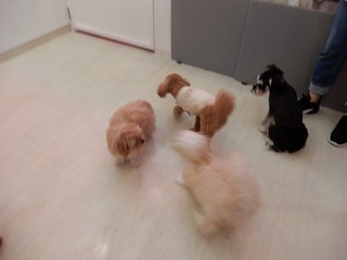 DSCN2577.jpg