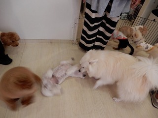 DSCN2607.jpg