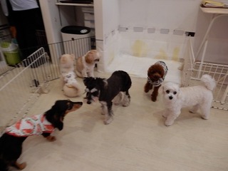 DSCN2619.jpg
