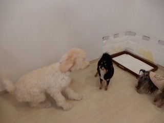DSCN2762.jpg
