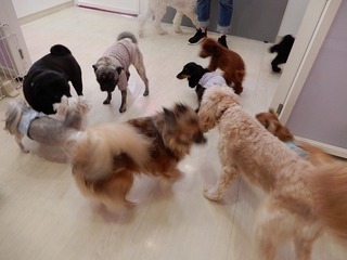 DSCN2804.jpg