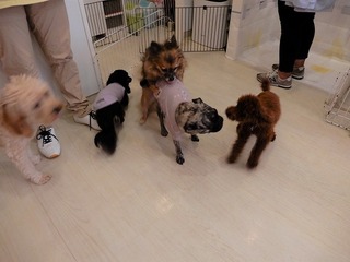 DSCN2811.jpg