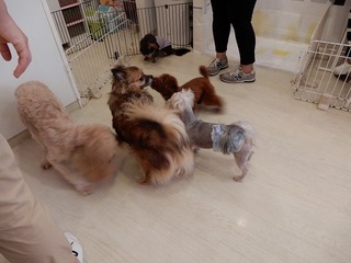 DSCN2833.jpg