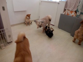 DSCN2844.jpg