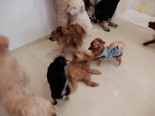 DSCN2880.jpg