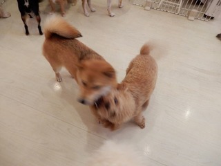 DSCN2890.jpg