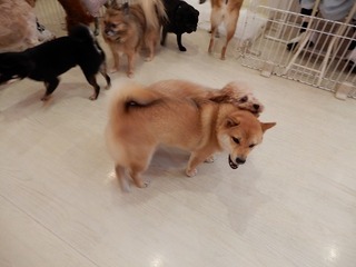 DSCN2891.jpg
