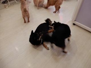 DSCN2896.jpg