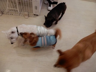 DSCN2929.jpg