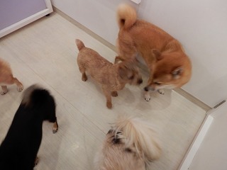 DSCN2940.jpg