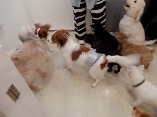 DSCN2951.jpg