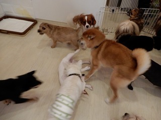 DSCN2961.jpg