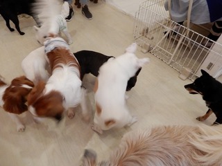 DSCN2984.jpg