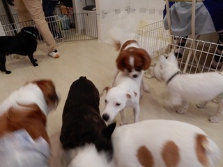 DSCN2987.jpg