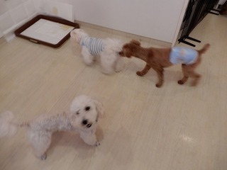 DSCN3023.jpg