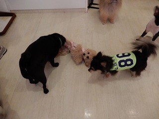 DSCN3046.jpg