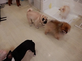 DSCN3051.jpg