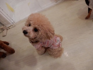 DSCN3053.jpg