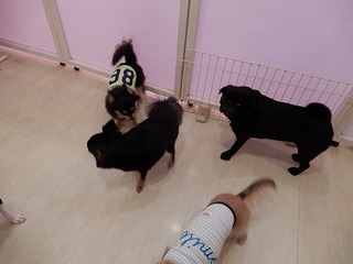 DSCN3058.jpg