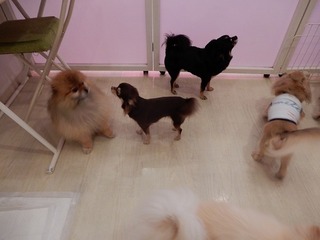 DSCN3069.jpg