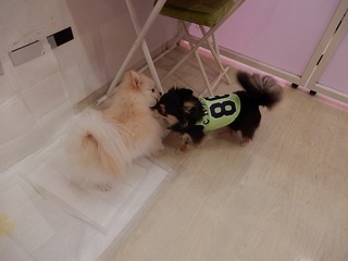 DSCN3084.jpg