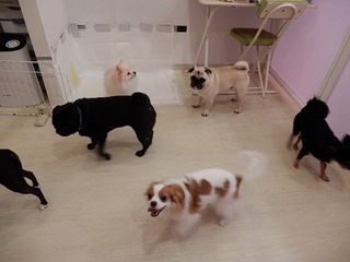 DSCN3089.jpg