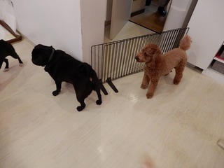 DSCN3100.jpg
