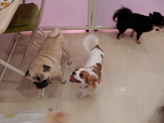 DSCN3116.jpg