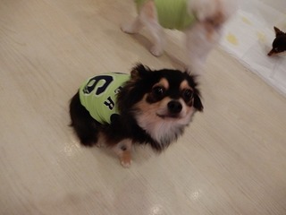 DSCN3124.jpg