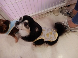 DSCN3133.jpg
