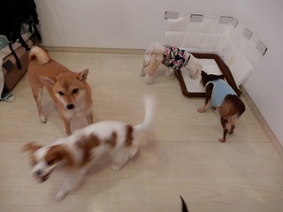 DSCN3139.jpg
