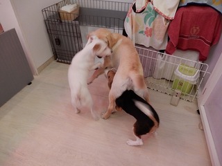 DSCN3162.jpg