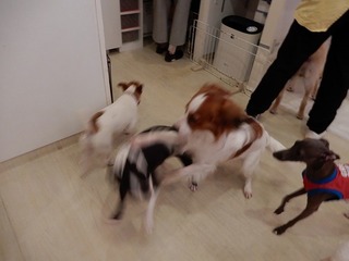 DSCN3179.jpg