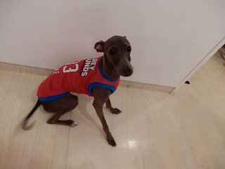 DSCN3201.jpg