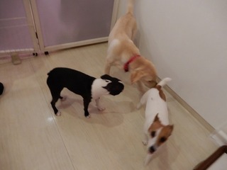 DSCN3207.jpg