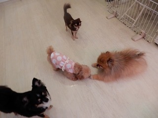 DSCN3292.jpg