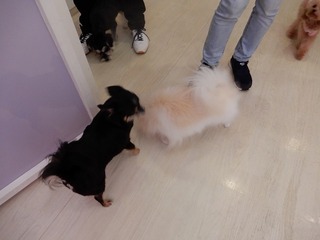 DSCN3316.jpg
