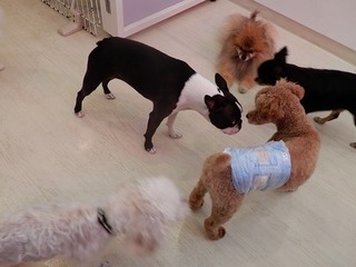 DSCN3531.jpg