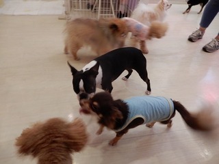 DSCN3579.jpg