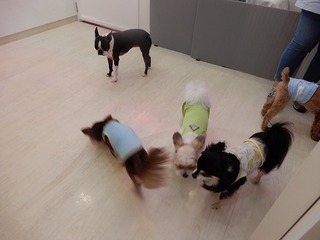 DSCN3593.jpg
