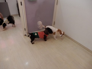 DSCN3624.jpg