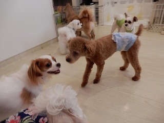 DSCN3686.jpg