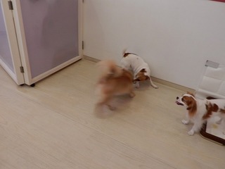 DSCN3695.jpg