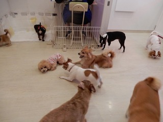 DSCN3698.jpg
