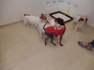 DSCN3802.jpg