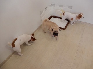 DSCN3809.jpg